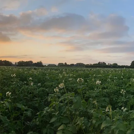 Polderhoek Lägenhet
